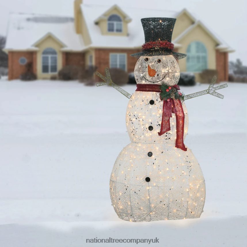 decoration | National Tree Company 60\ Snowman Decoration with Warm White LED Lights F2L4F602